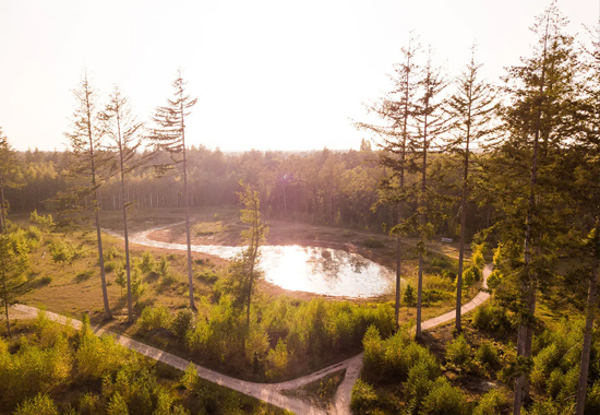 natuurbegraven