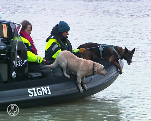 Signi Stichting Signi zoekhonden